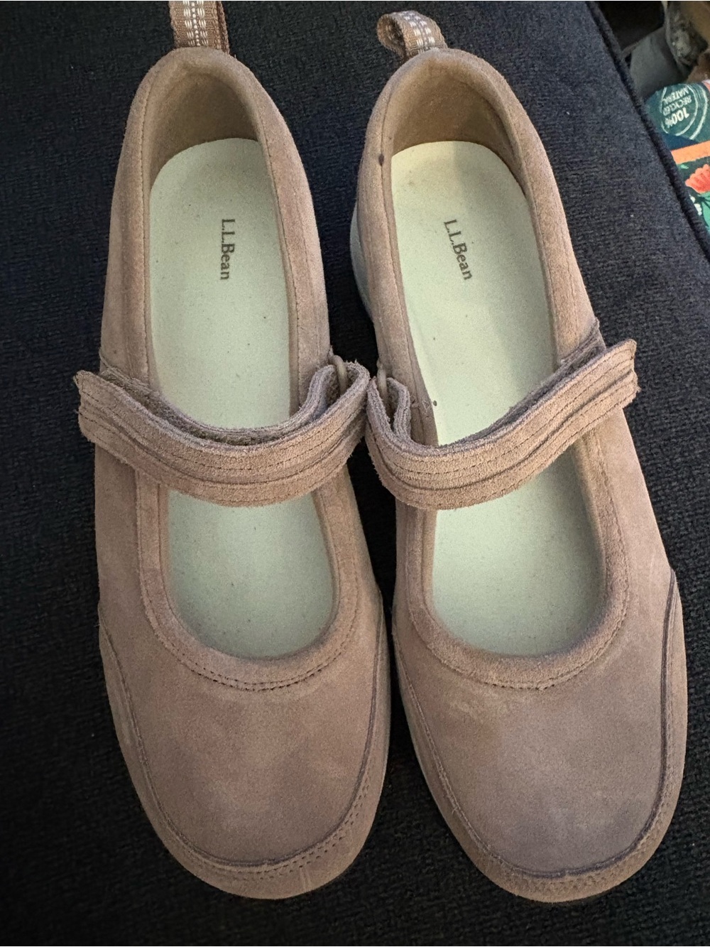 NWOT L.L. Bean Women's Suede Mary Jane Shoes in Brown size 11M